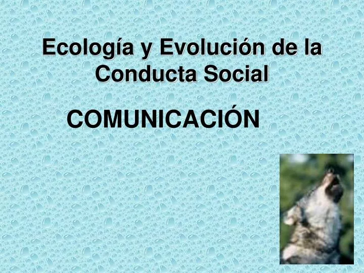 ecolog a y evoluci n de la conducta social