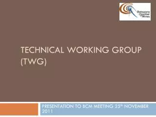 TECHNICAL WORKING GROUP (TWG)