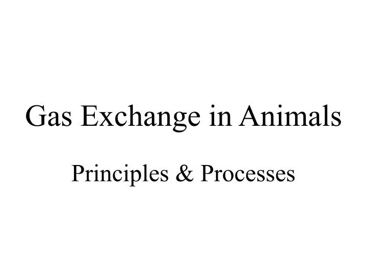 gas exchange in animals