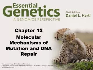 Chapter 12 Molecular Mechanisms of Mutation and DNA Repair