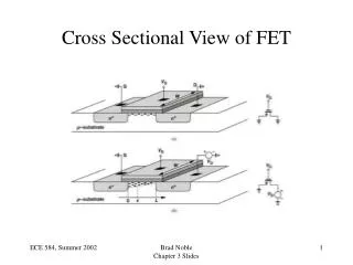 Cross Sectional View of FET