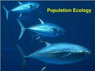 Population Ecology