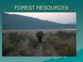 FOREST RESOURCES