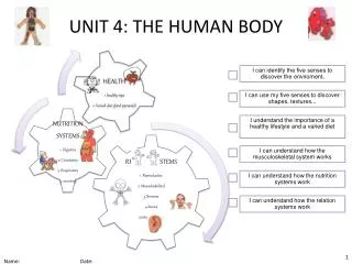 UNIT 4: THE HUMAN BODY