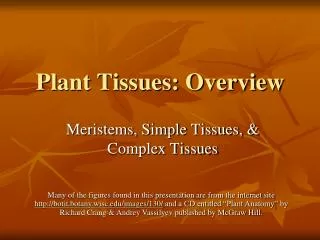 Plant Tissues: Overview
