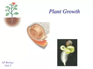 Plant Growth