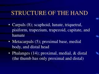 STRUCTURE OF THE HAND