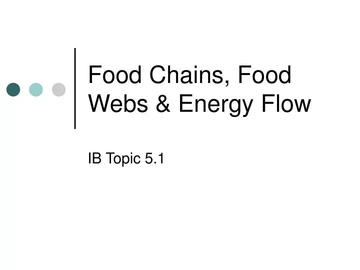 food chains food webs energy flow