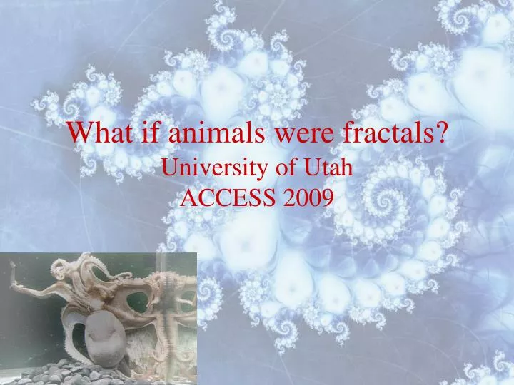 what if animals were fractals