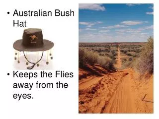 Australian Bush Hat Keeps the Flies away from the eyes.