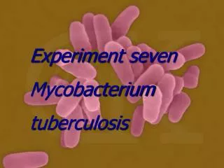 Experiment seven Mycobacterium tuberculosis