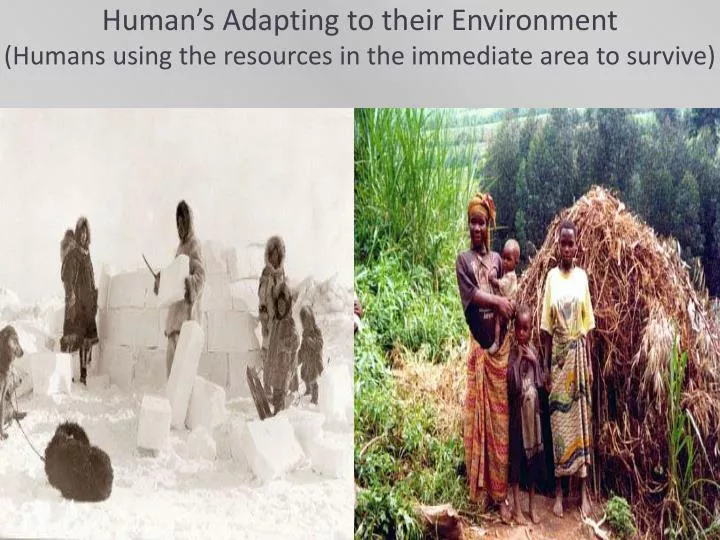 human s adapting to their environment humans using the resources in the immediate area to survive