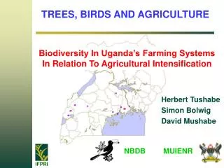 TREES, BIRDS AND AGRICULTURE