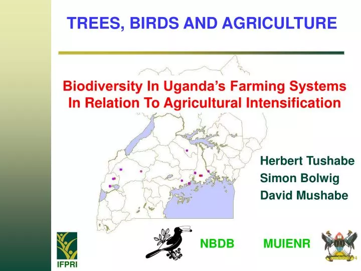 trees birds and agriculture