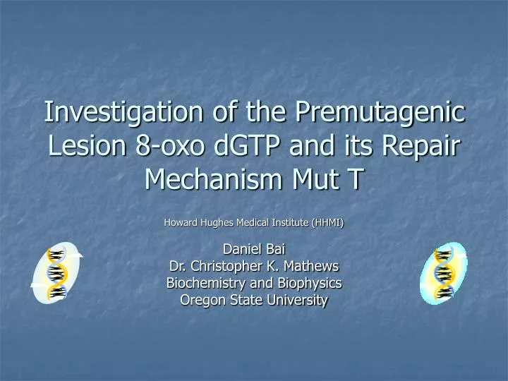 investigation of the premutagenic lesion 8 oxo dgtp and its repair mechanism mut t