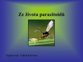 ze ivota parazitoid
