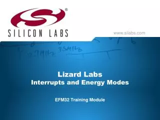 Lizard Labs Interrupts and Energy Modes