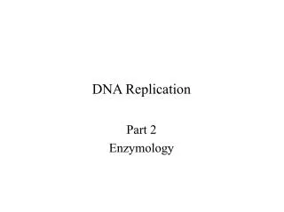 DNA Replication