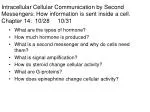What are the types of hormone? How much hormone is produced? - slide 1