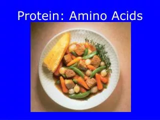 Protein: Amino Acids