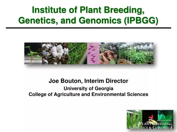institute of plant breeding genetics and genomics ipbgg