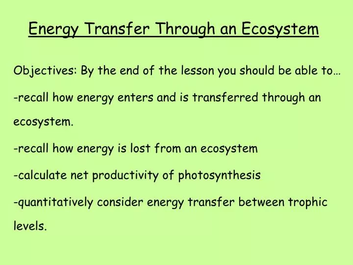 energy transfer through an ecosystem