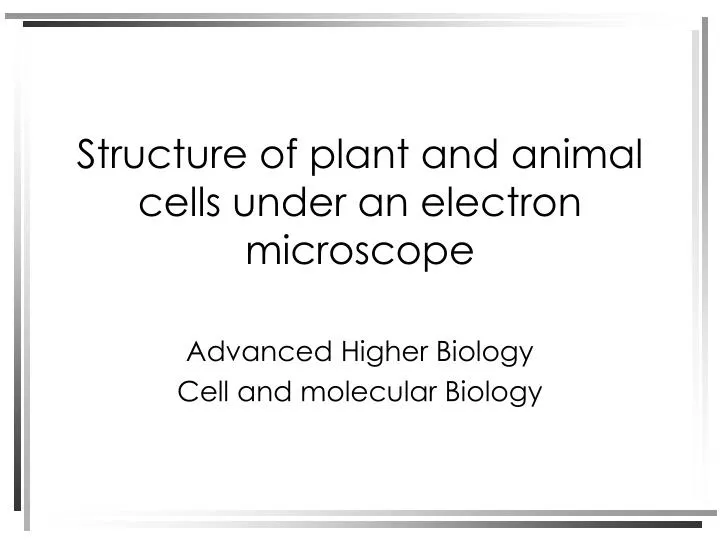 structure of plant and animal cells under an electron microscope