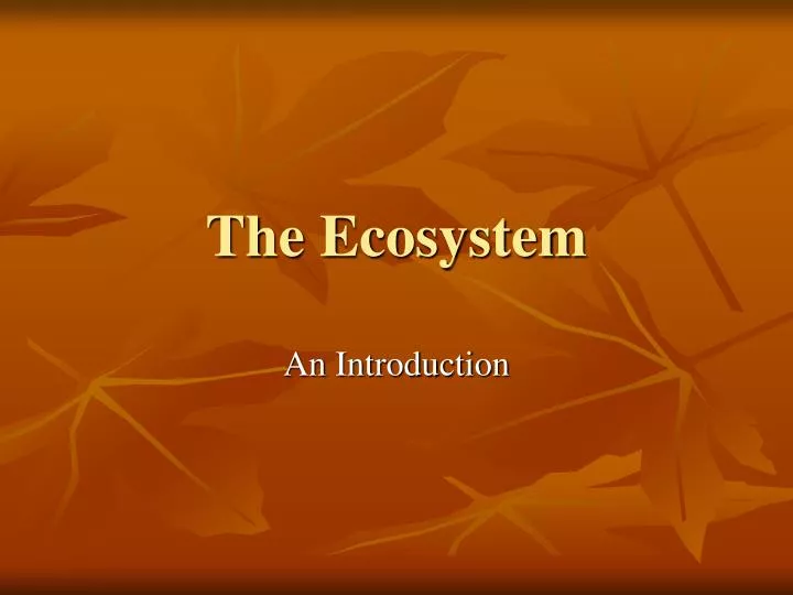 the ecosystem