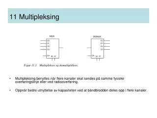 11 Multipleksing