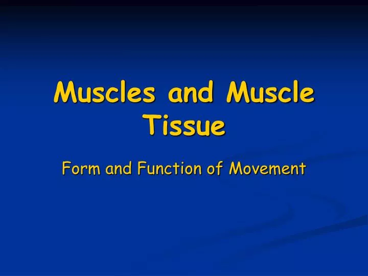 muscles and muscle tissue