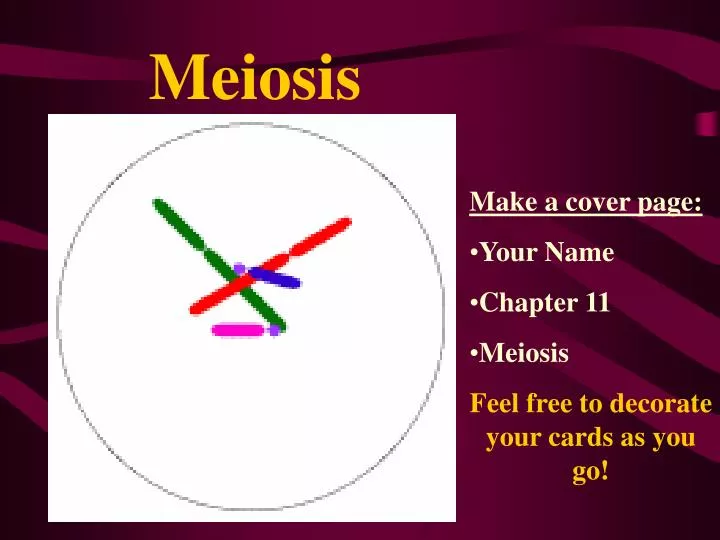 meiosis