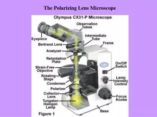 The Polarizing Lens Microscope