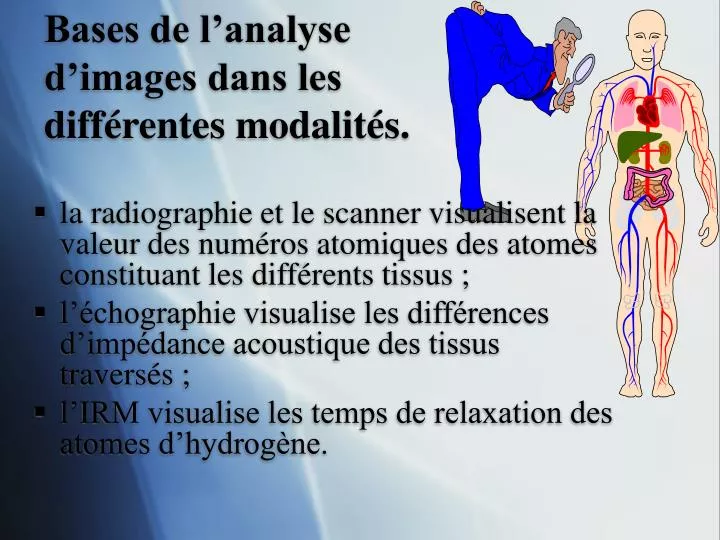 bases de l analyse d images dans les diff rentes modalit s