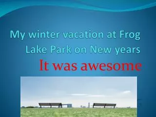 My winter vacation at Frog Lake Park on New years