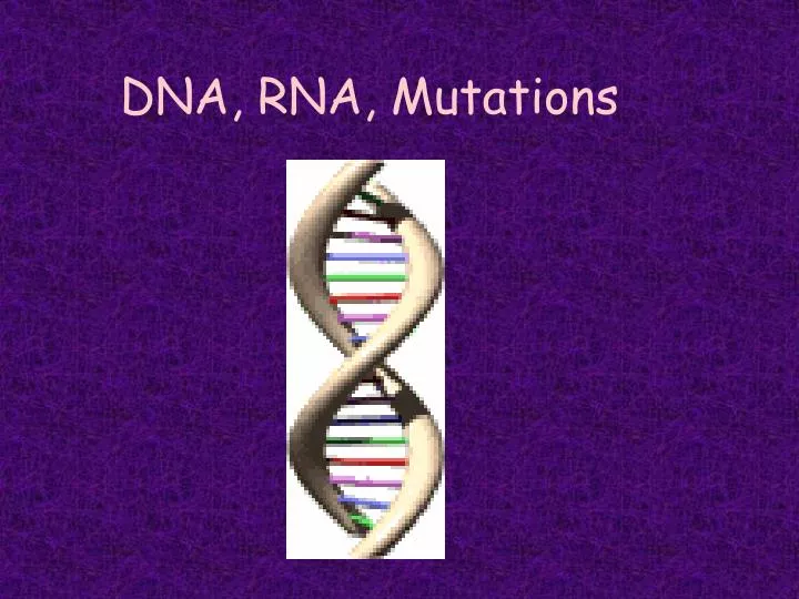 dna rna mutations