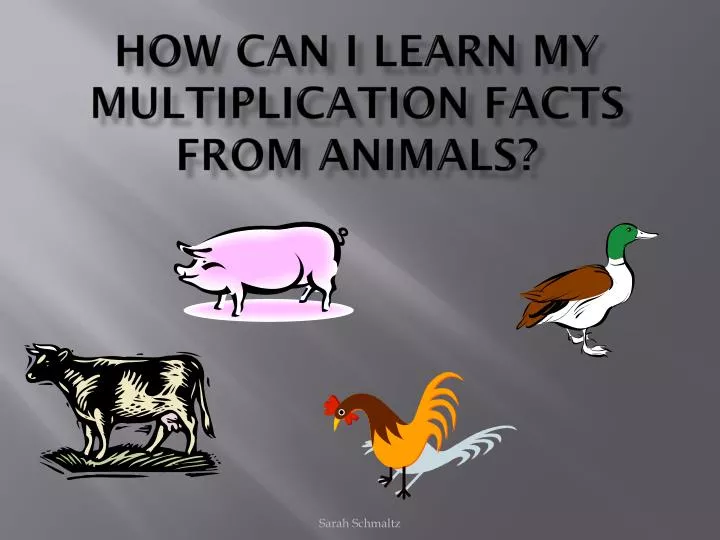 how can i learn my multiplication facts from animals