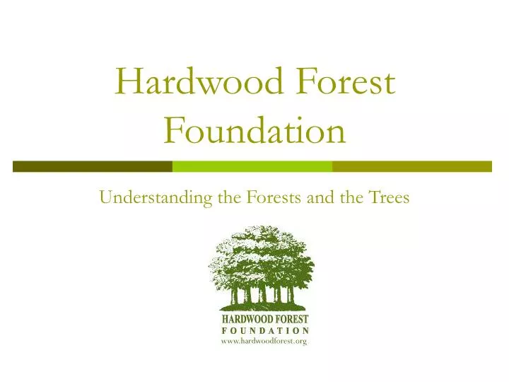 hardwood forest foundation
