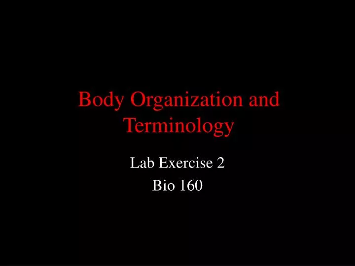body organization and terminology