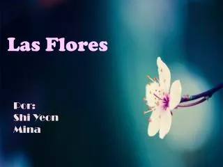 las f lores