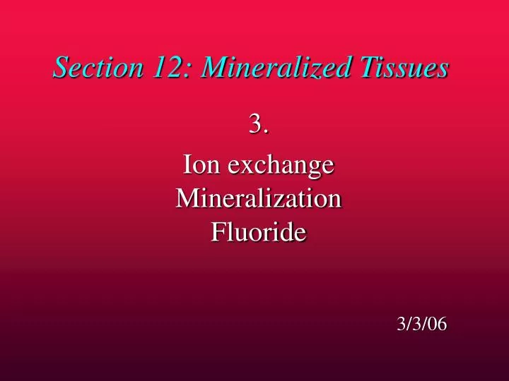 section 12 mineralized tissues