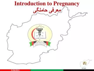 introduction to pregnancy