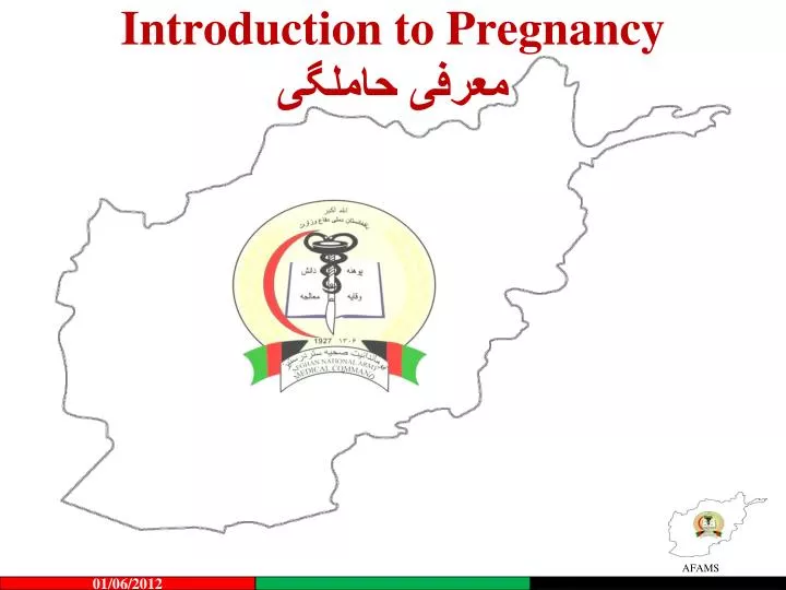 introduction to pregnancy