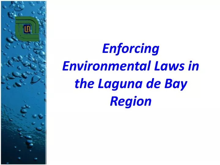 enforcing environmental laws in the laguna de bay region