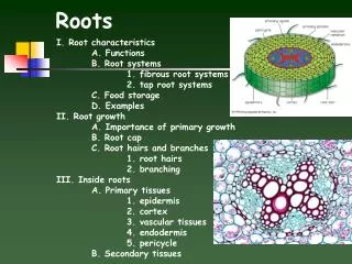 Roots