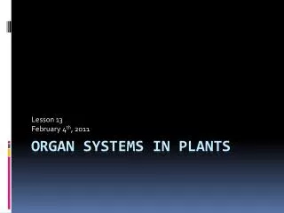 Organ Systems in Plants