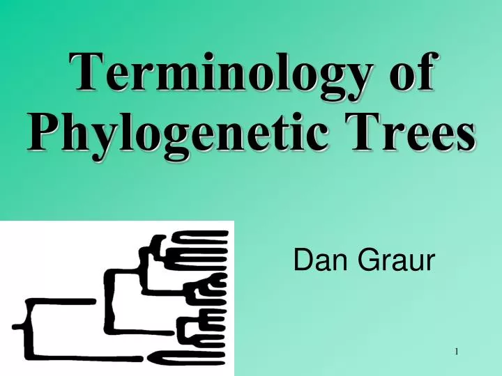 terminology of phylogenetic trees