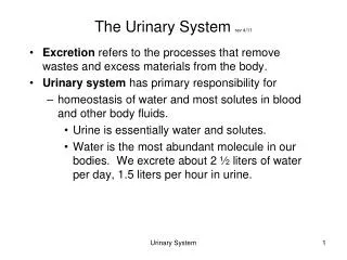The Urinary System rev 4/11