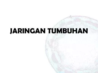 jaringan tumbuhan