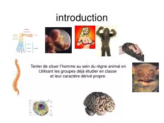 introduction