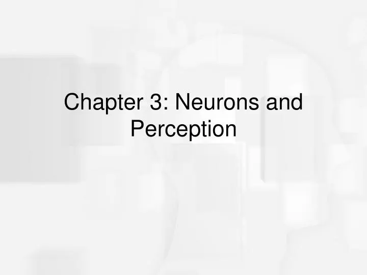 chapter 3 neurons and perception